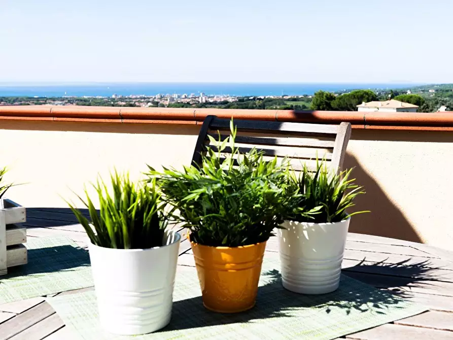 Immagine 22 di Mansarda in vendita  a Rosignano Marittimo