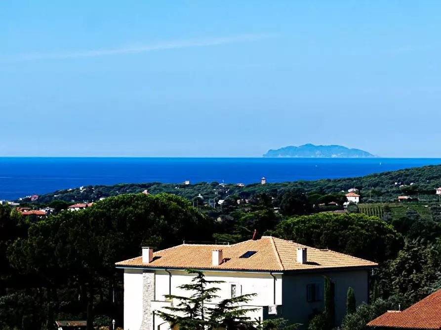 Immagine 20 di Mansarda in vendita  a Rosignano Marittimo