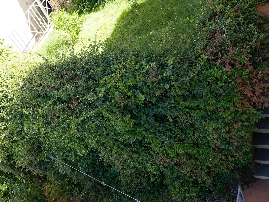 Immagine 40 di Mansarda in vendita  a Rosignano Marittimo