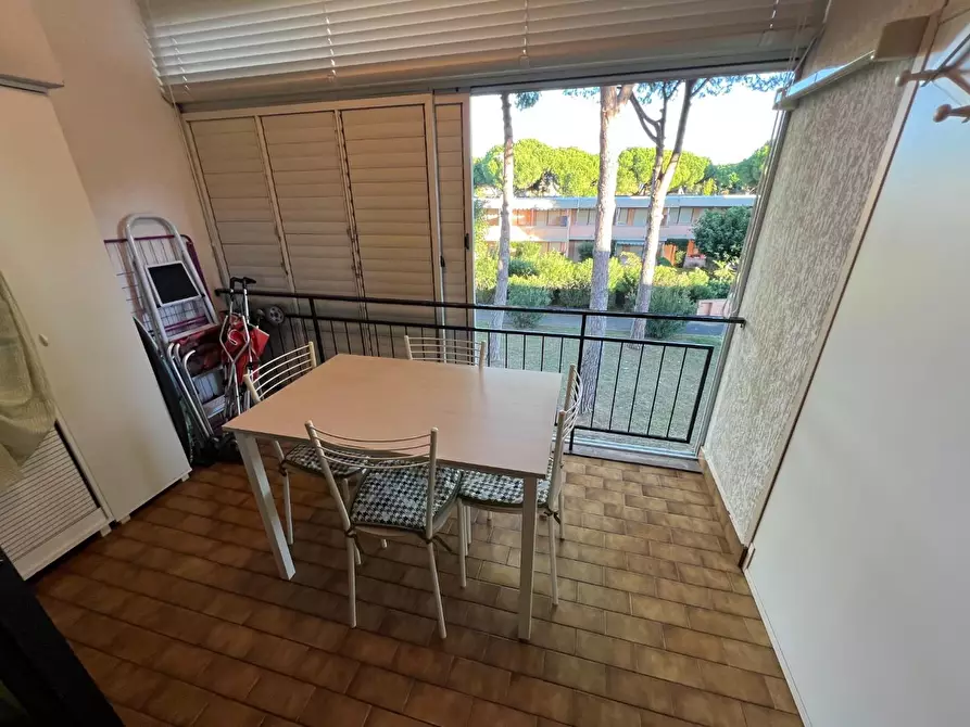 Immagine 6 di Appartamento in vendita  a Bibbona