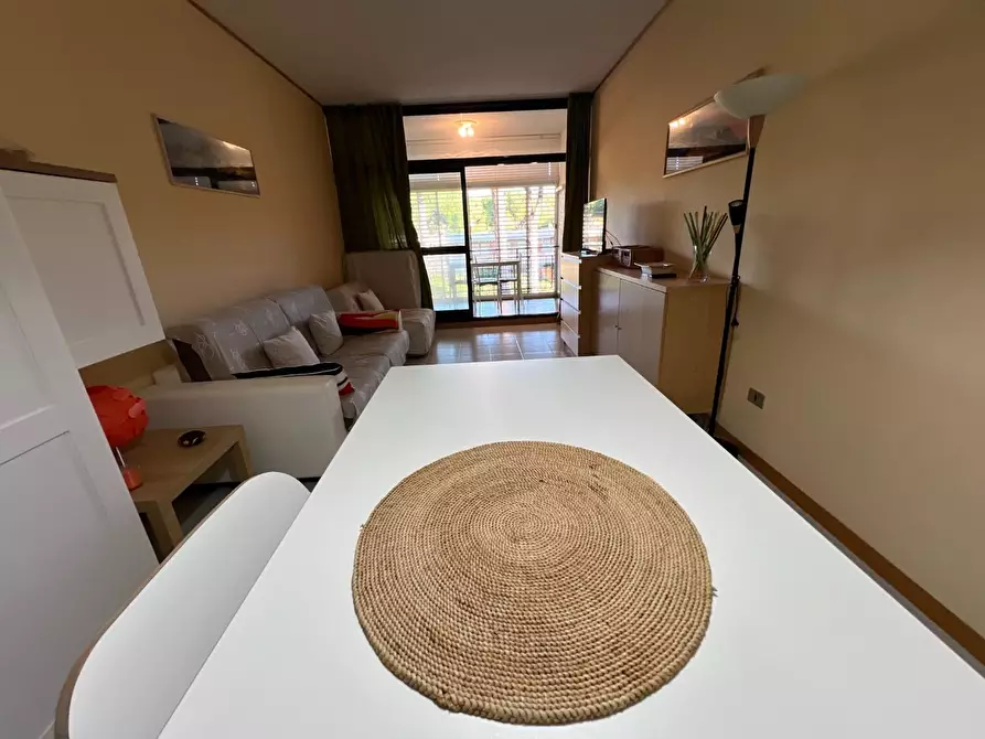 Immagine 3 di Appartamento in vendita  a Bibbona