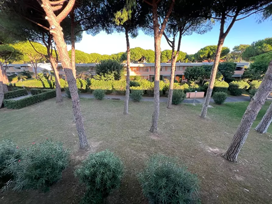 Immagine 8 di Appartamento in vendita  a Bibbona