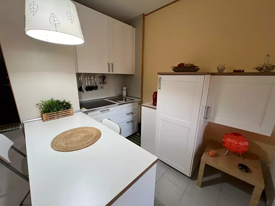 Immagine 2 di Appartamento in vendita  a Bibbona