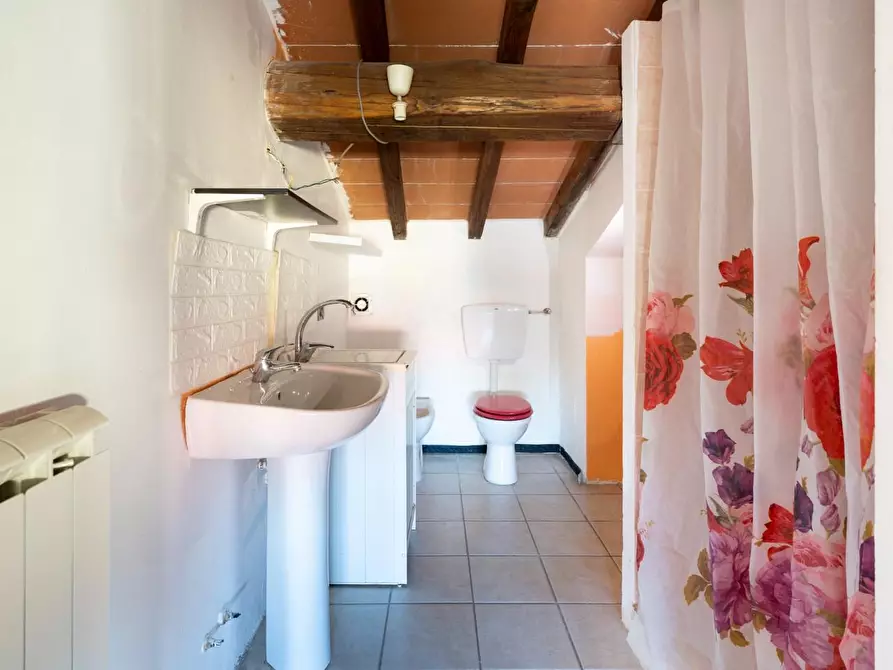 Immagine 21 di Appartamento in vendita  a Ponsacco