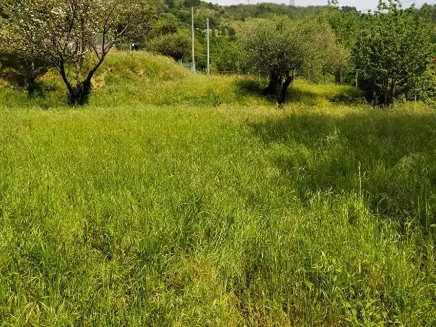 Immagine 8 di Villa in vendita  a Sarzana