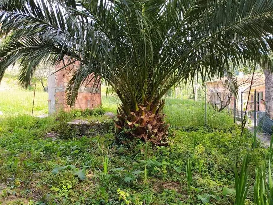 Immagine 7 di Villa in vendita  a Sarzana