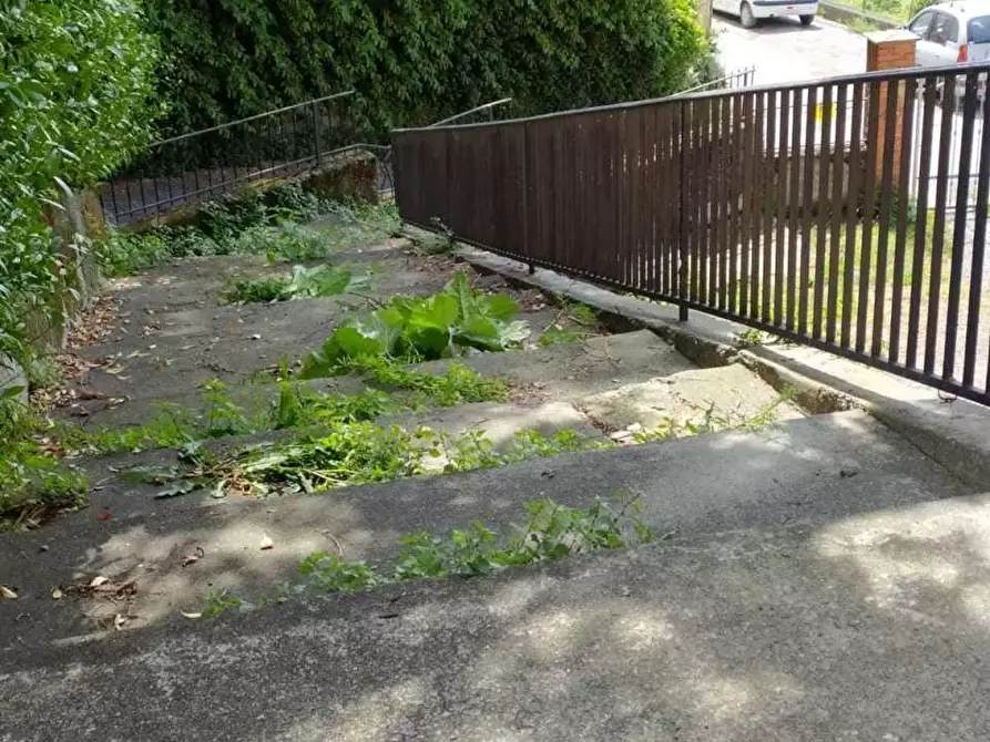 Immagine 9 di Villa in vendita  a Sarzana