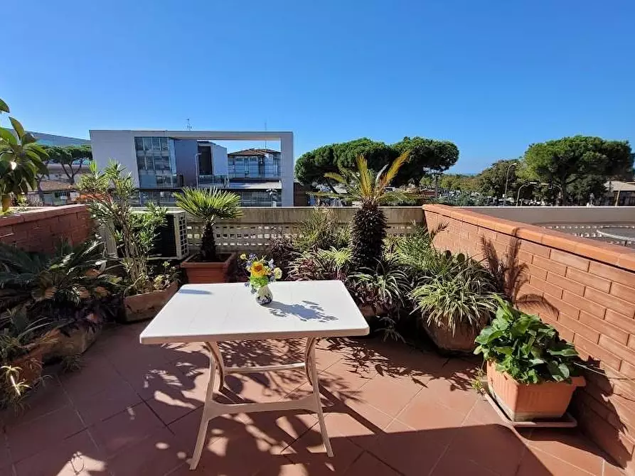 Immagine 2 di Appartamento in affitto  a Carrara