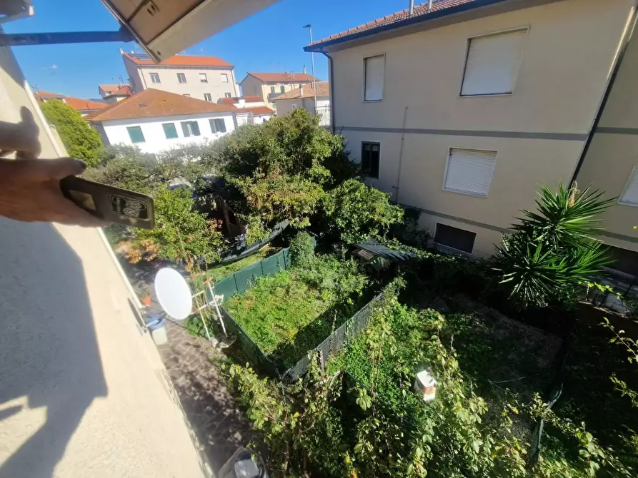 Immagine 7 di Appartamento in vendita  a Cecina