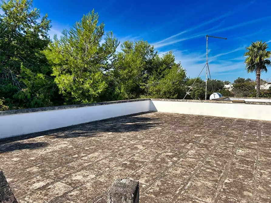 Immagine 16 di Terratetto in vendita  a Porto Cesareo