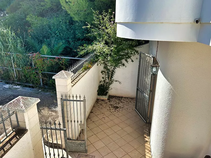 Immagine 15 di Terratetto in vendita  a Porto Cesareo