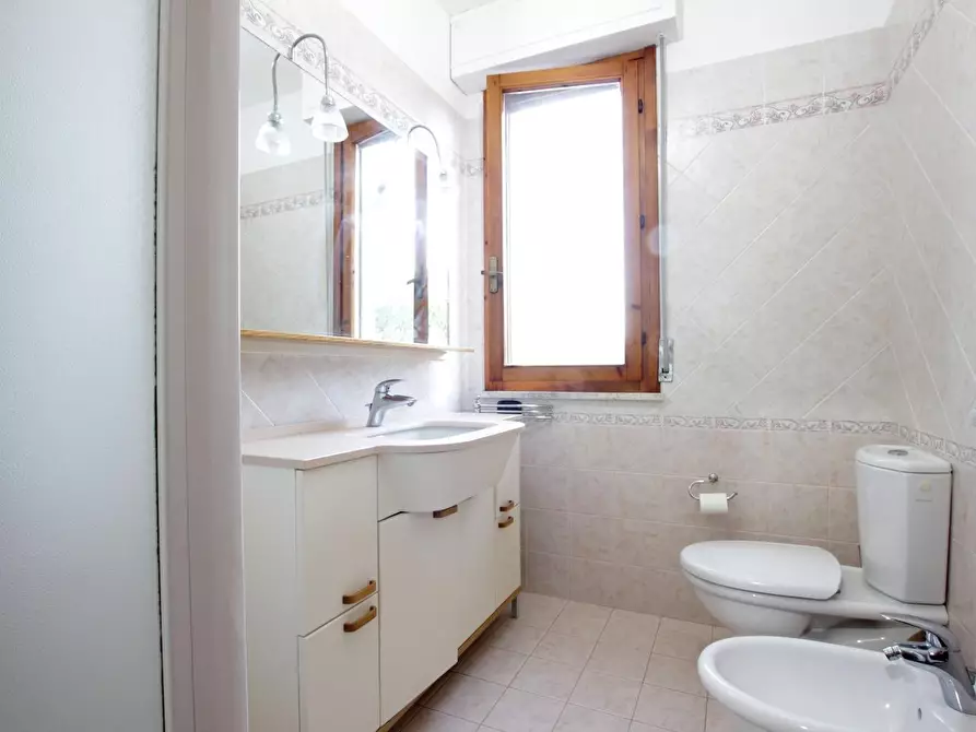 Immagine 11 di Appartamento in vendita  a Castelnuovo Berardenga