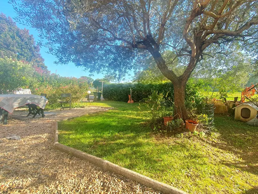 Immagine 17 di Appartamento in vendita  a Lucca