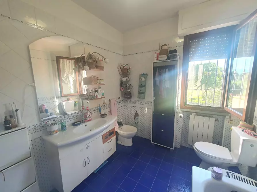 Immagine 7 di Appartamento in vendita  a Lucca