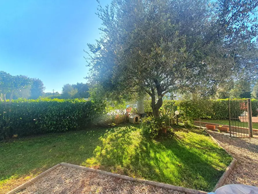 Immagine 24 di Appartamento in vendita  a Lucca