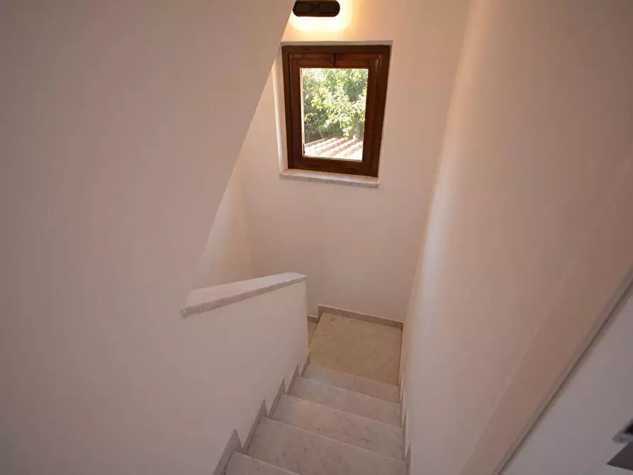 Immagine 17 di Casa bifamiliare in vendita  a Montignoso