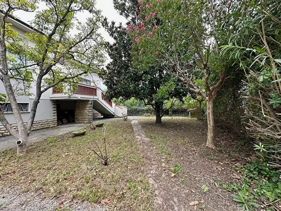 Immagine 2 di Villa in vendita  a San Giuliano Terme