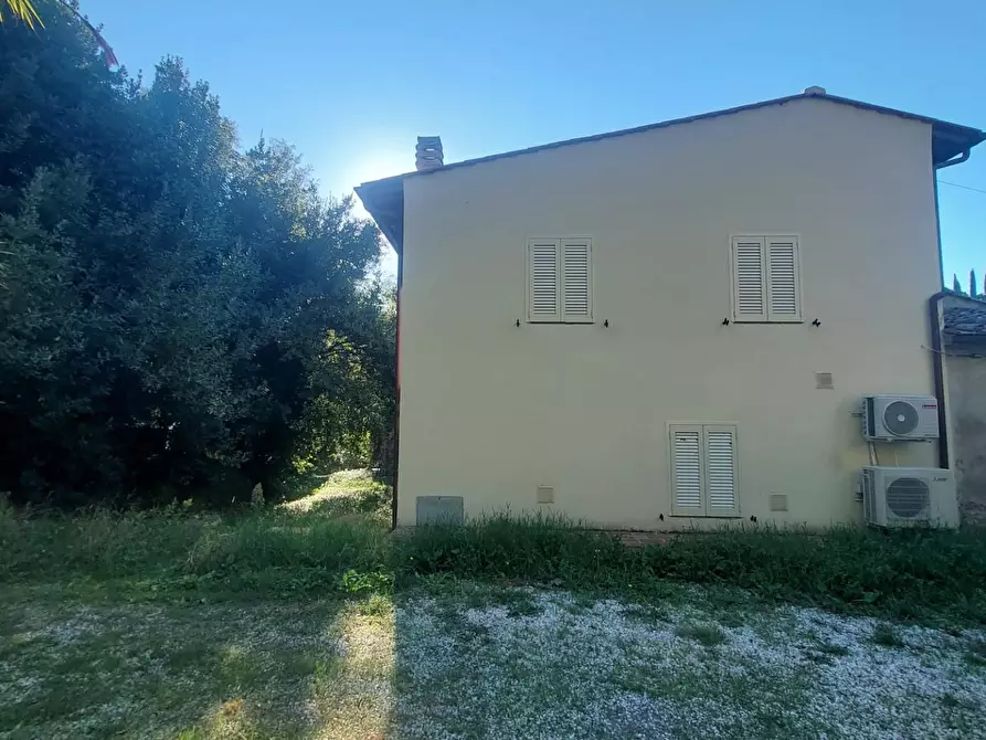 Immagine 3 di Terratetto in vendita  a Pontedera