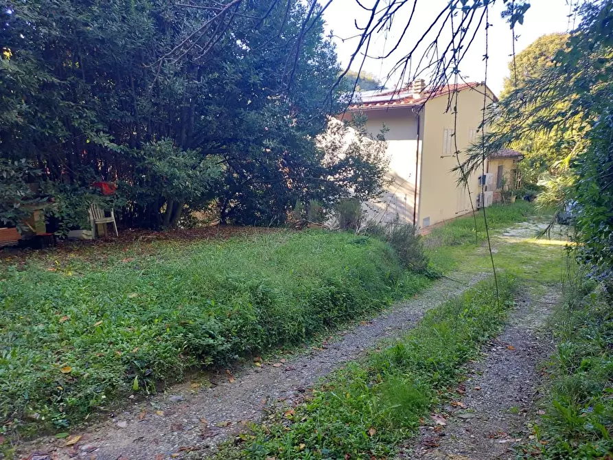 Immagine 2 di Terratetto in vendita  a Pontedera