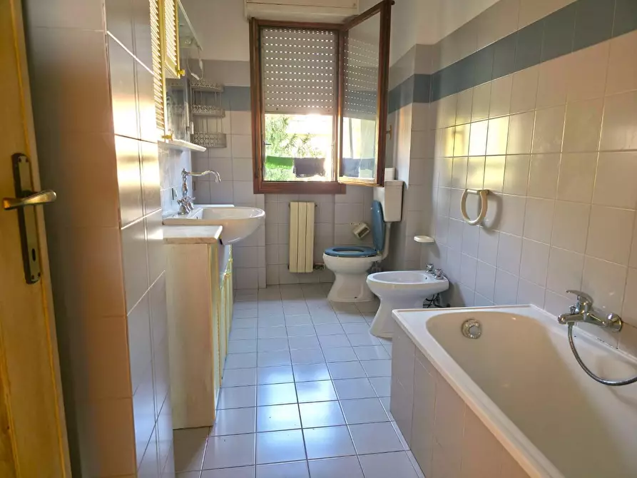 Immagine 19 di Appartamento in vendita  a Massa