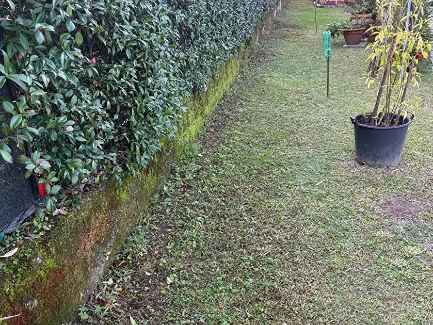 Immagine 13 di Appartamento in vendita  a Montignoso