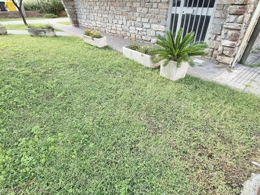 Immagine 106 di Appartamento in vendita  a Viareggio