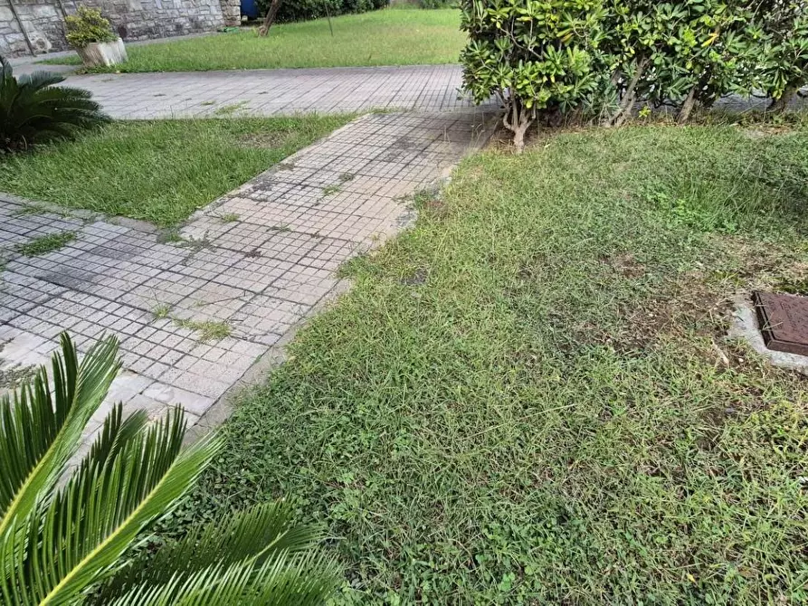 Immagine 107 di Appartamento in vendita  a Viareggio