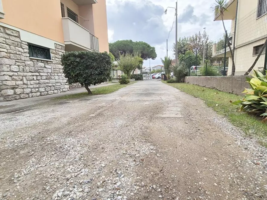 Immagine 111 di Appartamento in vendita  a Viareggio
