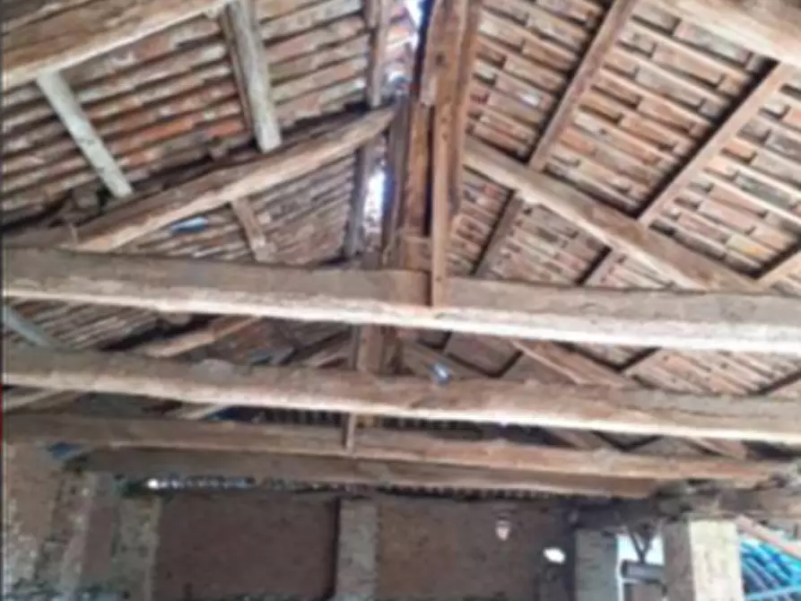 Immagine 4 di Terratetto in vendita  a Lombardore