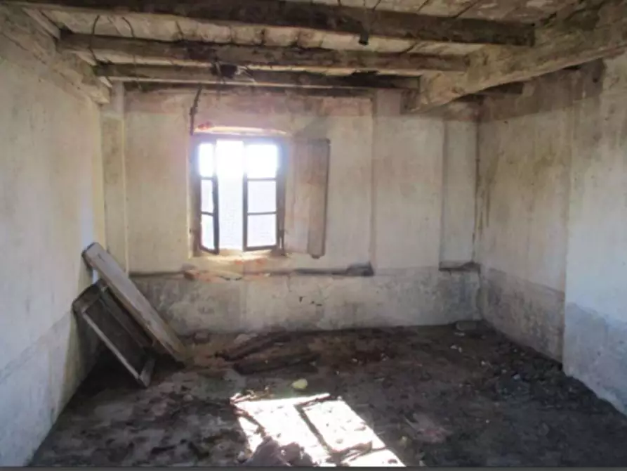 Immagine 5 di Terratetto in vendita  a Lombardore