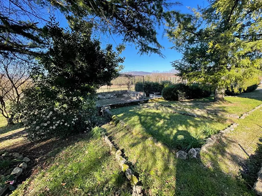 Immagine 76 di Casa colonica in vendita  a Siena