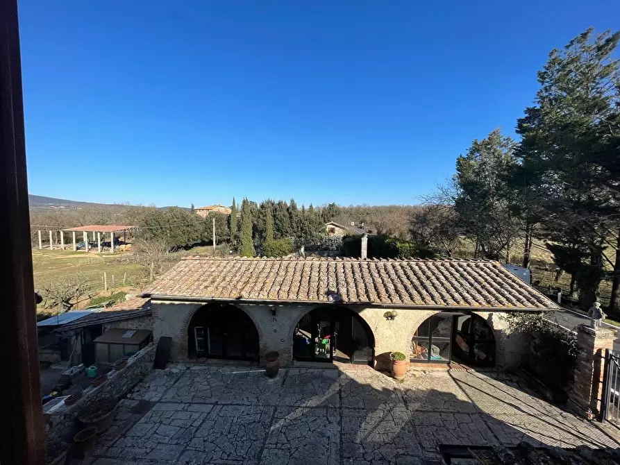 Immagine 52 di Casa colonica in vendita  a Siena