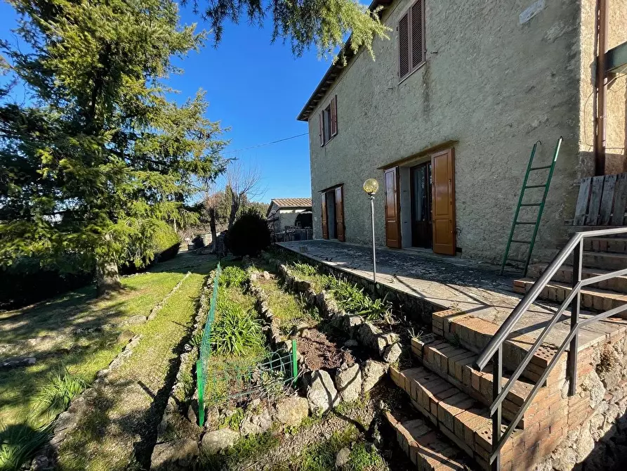 Immagine 77 di Casa colonica in vendita  a Siena