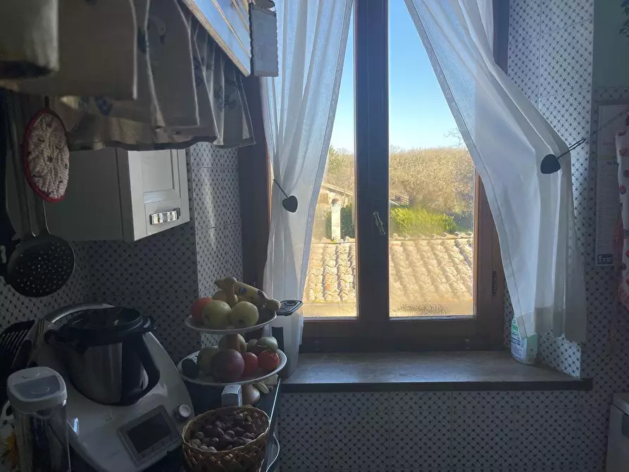 Immagine 68 di Casa colonica in vendita  a Siena