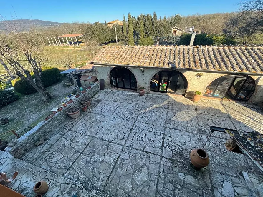 Immagine 51 di Casa colonica in vendita  a Siena