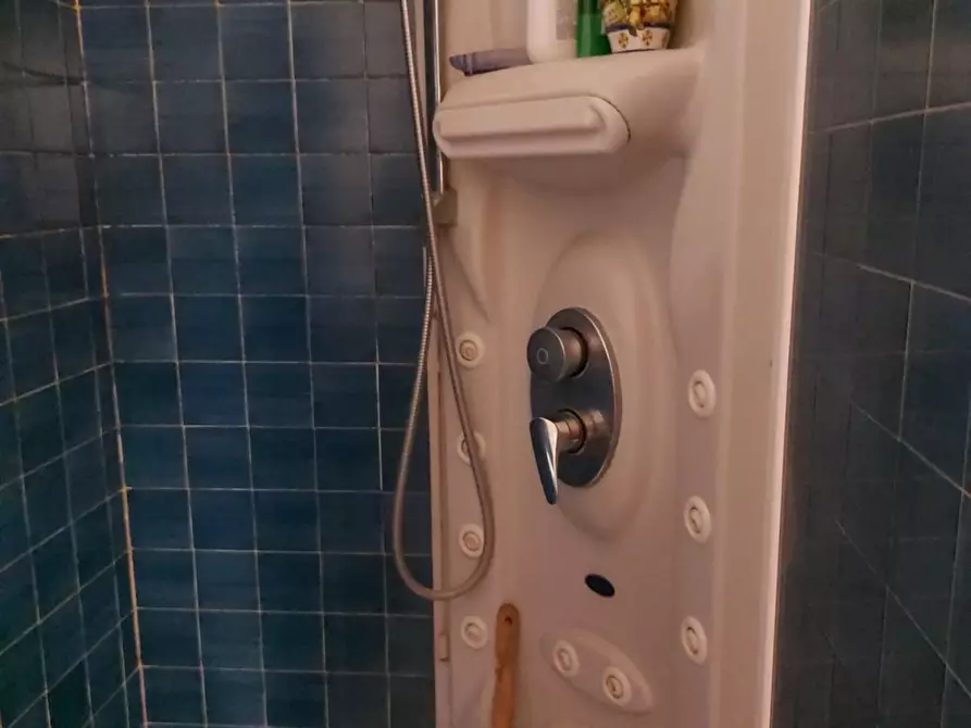 Immagine 34 di Villa in vendita  a Massa