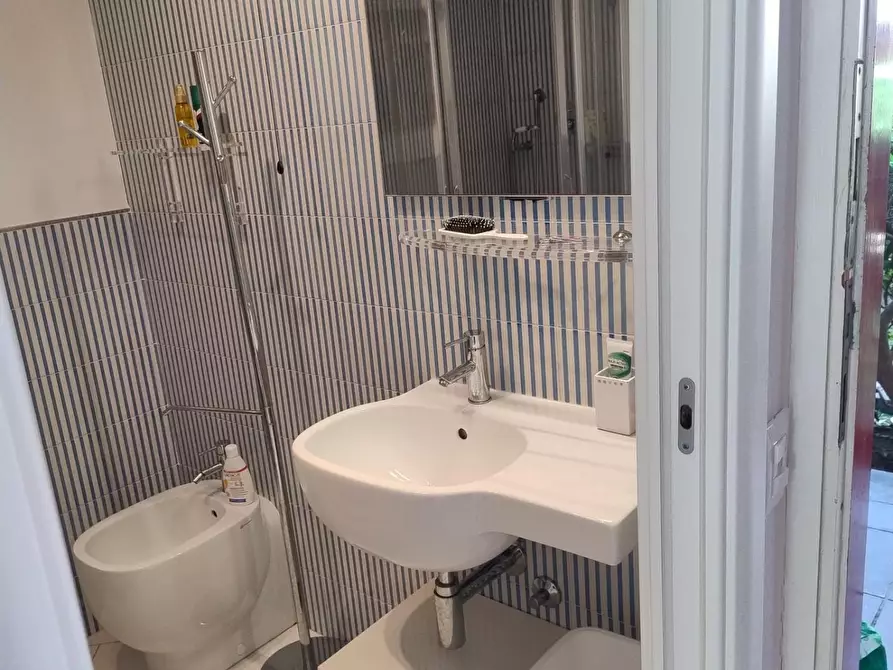 Immagine 12 di Appartamento in vendita  a Bibbona