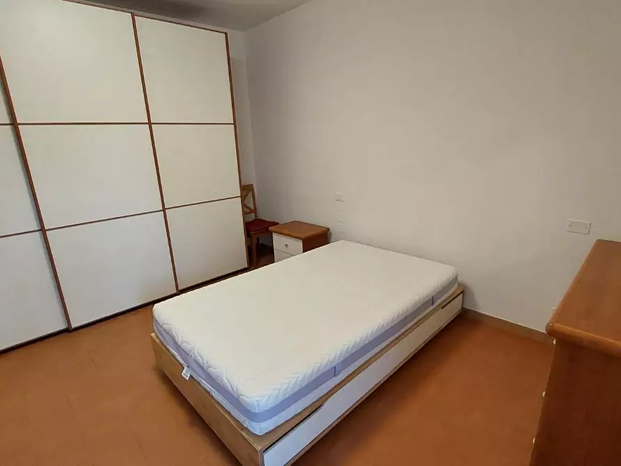 Immagine 11 di Appartamento in affitto  a Pisa