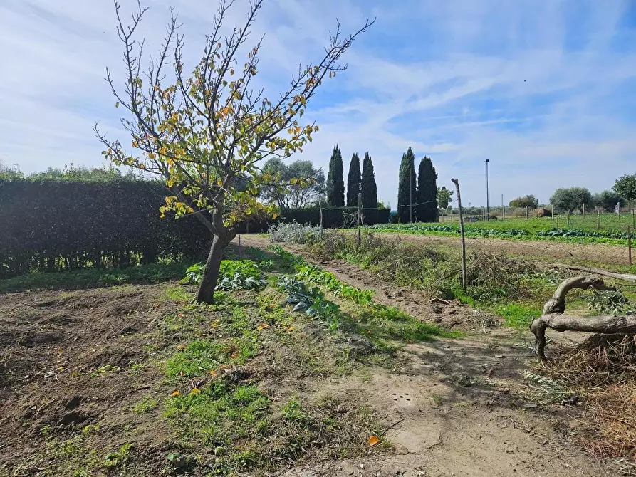 Immagine 1 di Terratetto in vendita  a Cascina