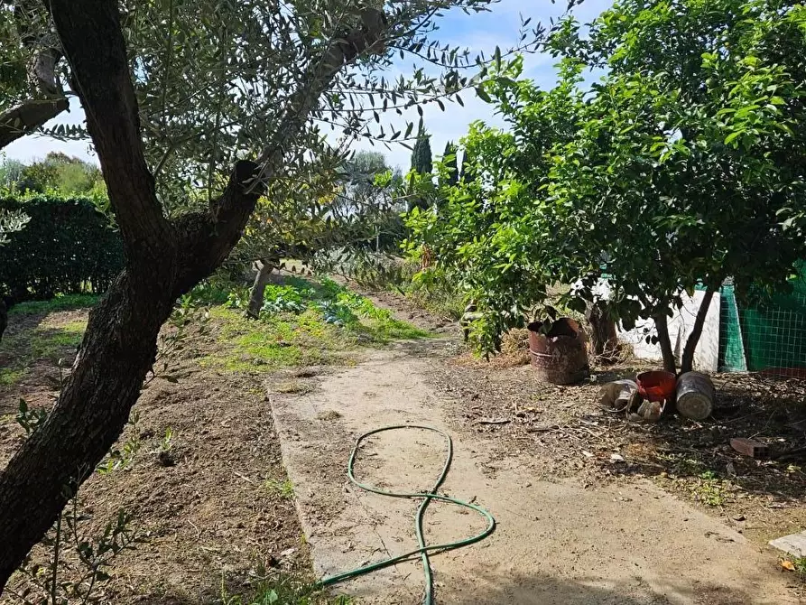 Immagine 2 di Terratetto in vendita  a Cascina