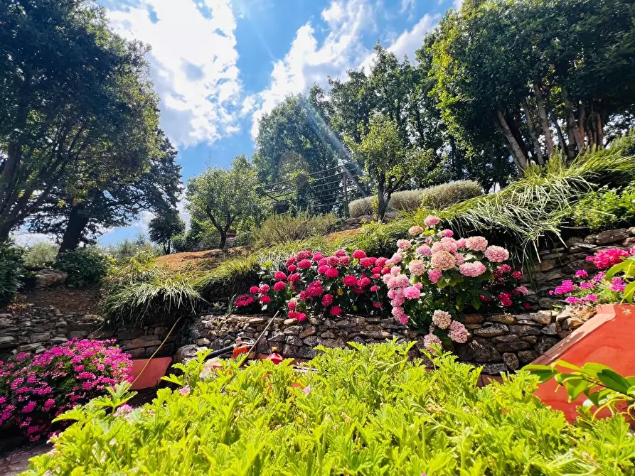 Immagine 13 di Villa in vendita  a Castagneto Carducci