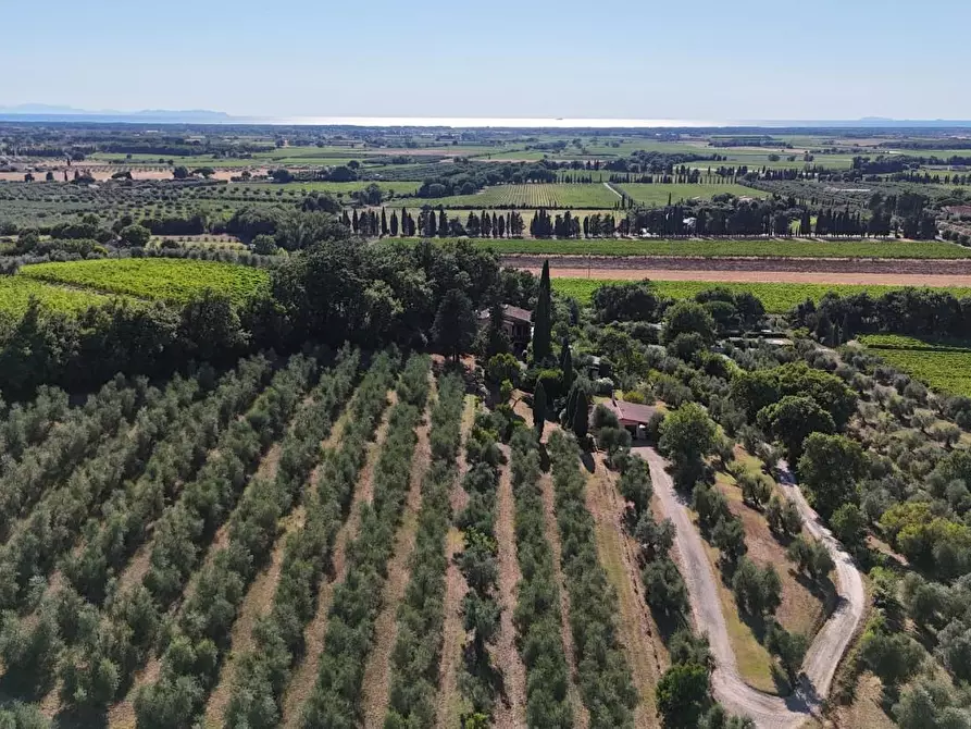 Immagine 2 di Villa in vendita  a Castagneto Carducci