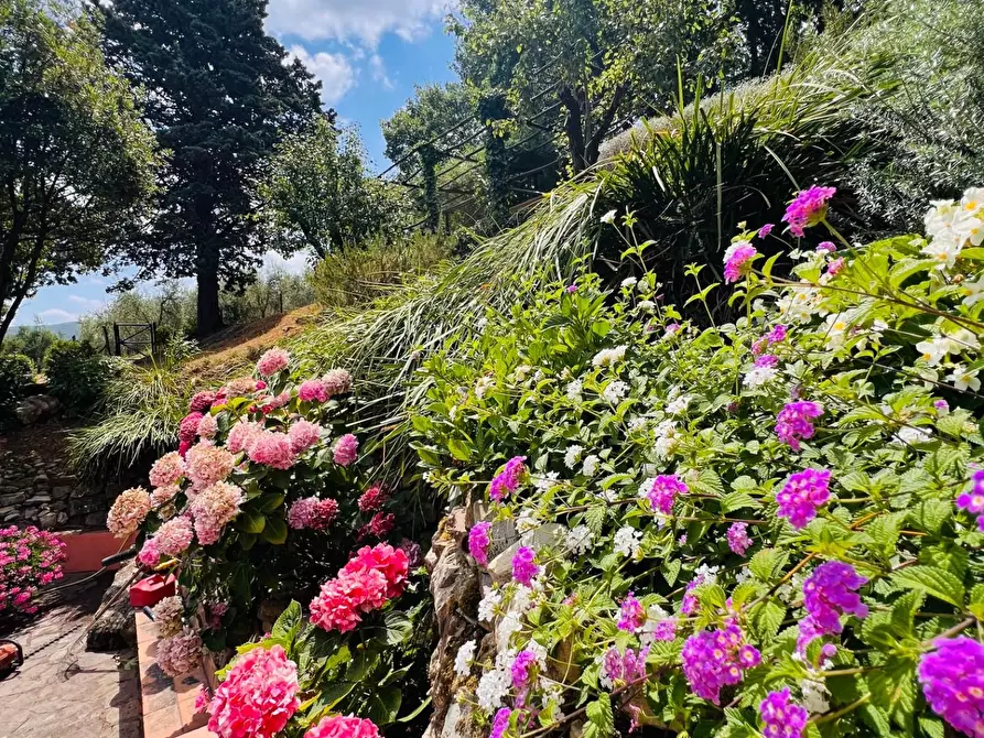 Immagine 22 di Villa in vendita  a Castagneto Carducci