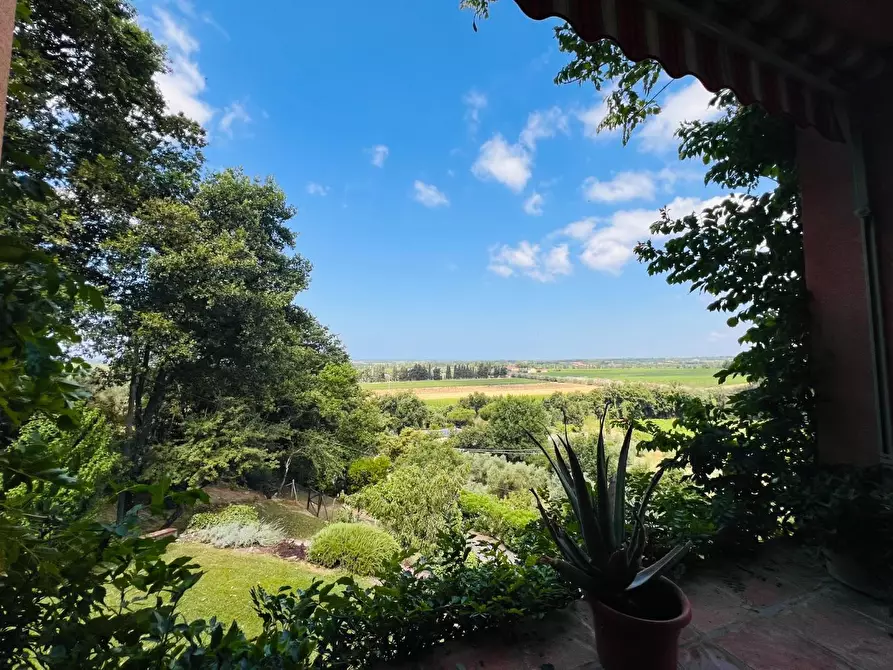 Immagine 11 di Villa in vendita  a Castagneto Carducci