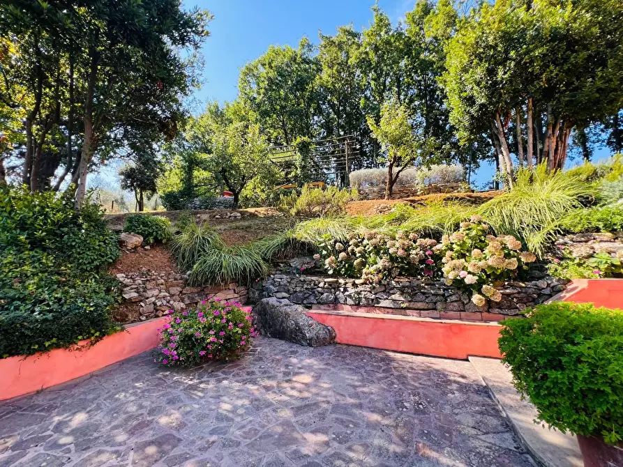 Immagine 6 di Villa in vendita  a Castagneto Carducci