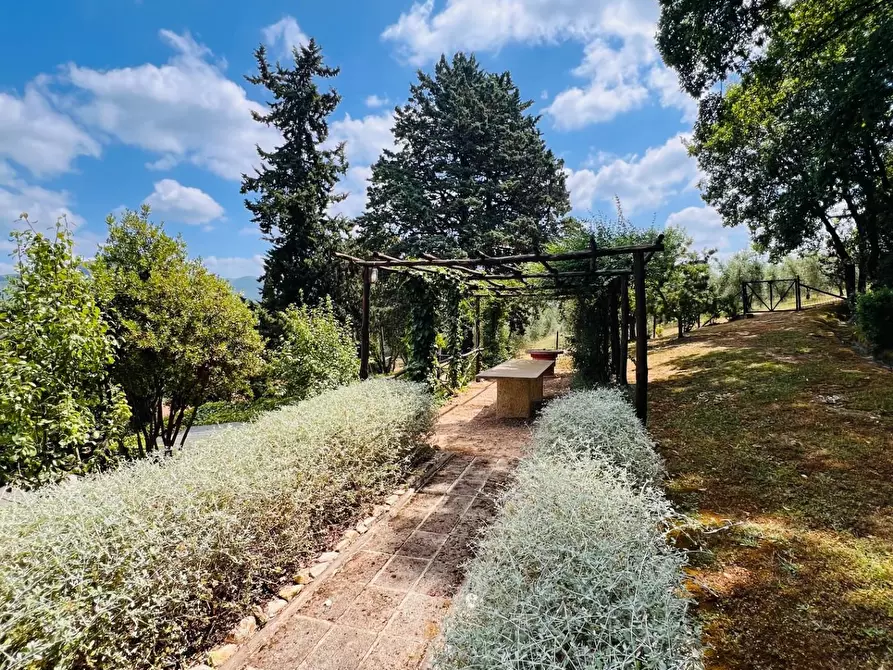 Immagine 23 di Villa in vendita  a Castagneto Carducci