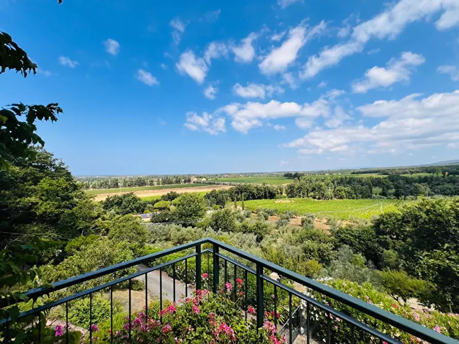 Immagine 10 di Villa in vendita  a Castagneto Carducci