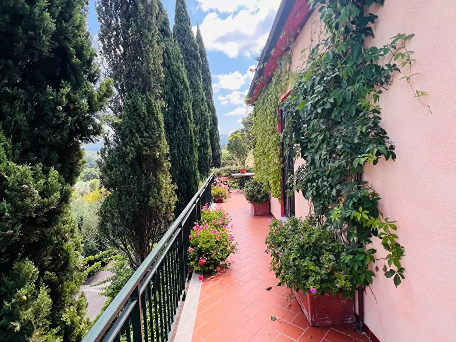 Immagine 8 di Villa in vendita  a Castagneto Carducci