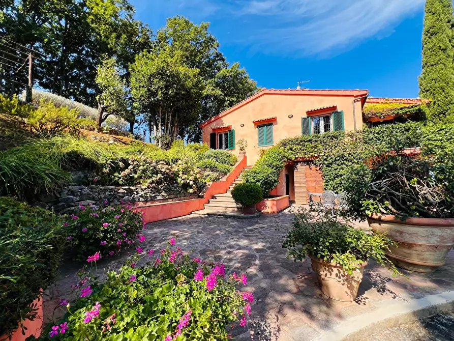 Immagine 14 di Villa in vendita  a Castagneto Carducci