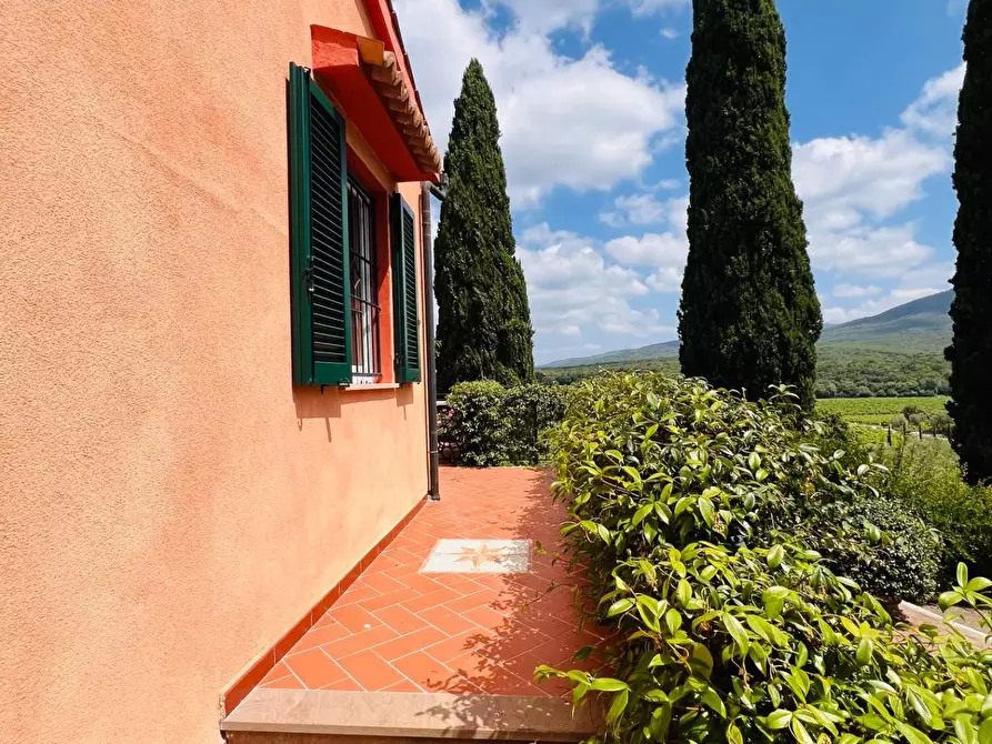 Immagine 9 di Villa in vendita  a Castagneto Carducci